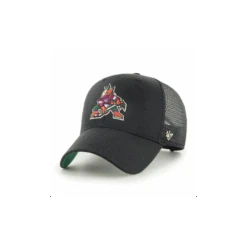 Casquette NHL 47 Vintage Minnesota